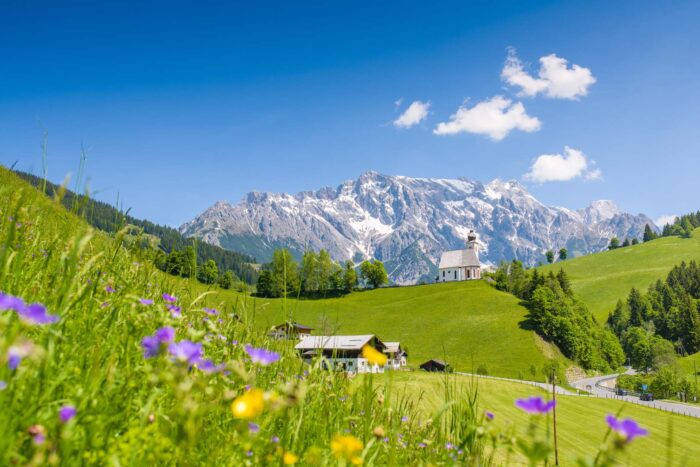 Wildbach Lodge Diensten am Hochkoenig Blumenwiese auergraphics AdobeStock 175859874