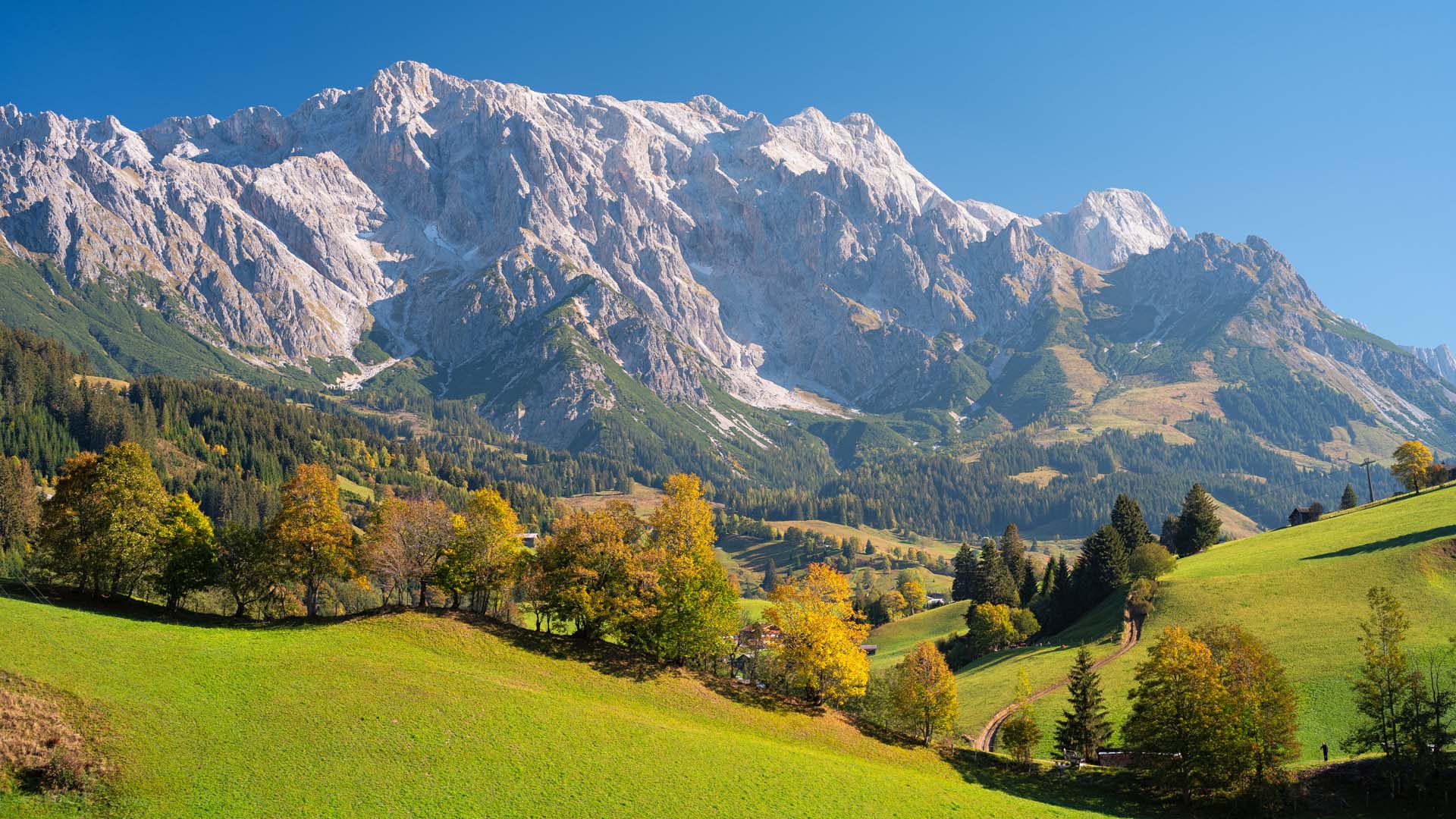 Wildbach Lodge Dienten am Hochkoenig franke 182 AdobeStock 334802060