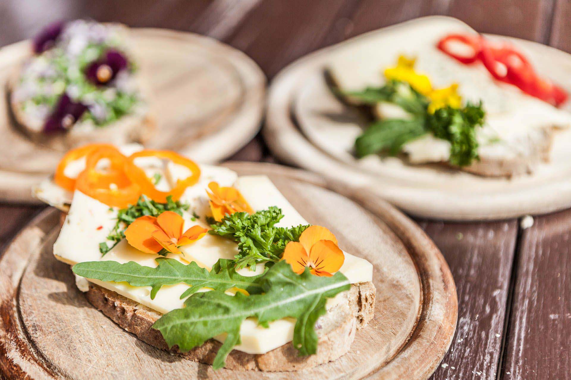 Wildbach-Lodge-Kraeuterwandern_Hochkoenig-Butterbrot-mit-frischen-Kraeutern