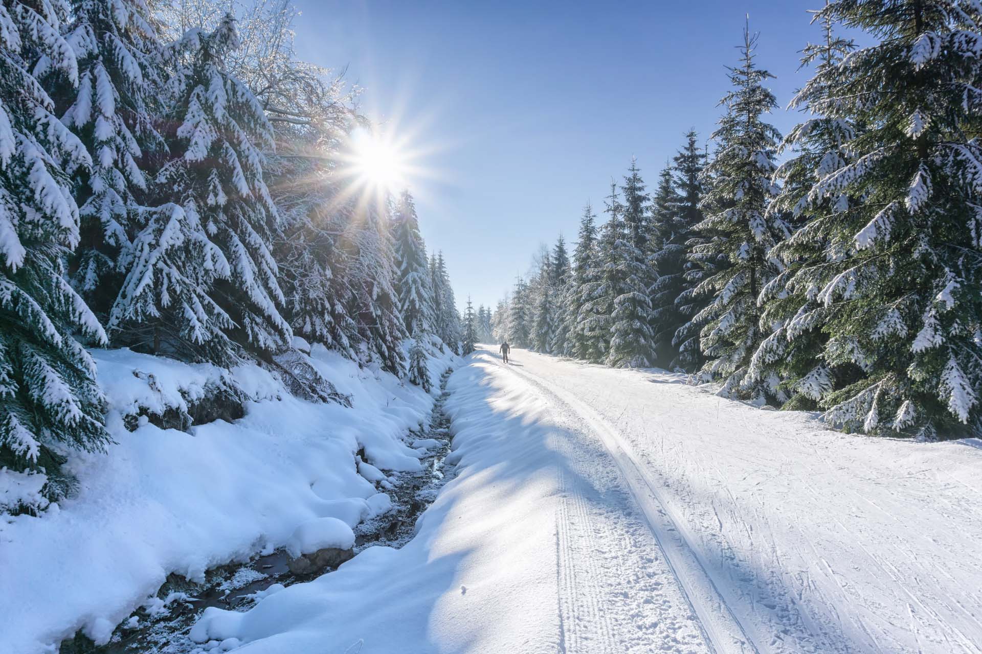 Wildbach-Lodge-Langlaufen-durch-verschneiten-Wald