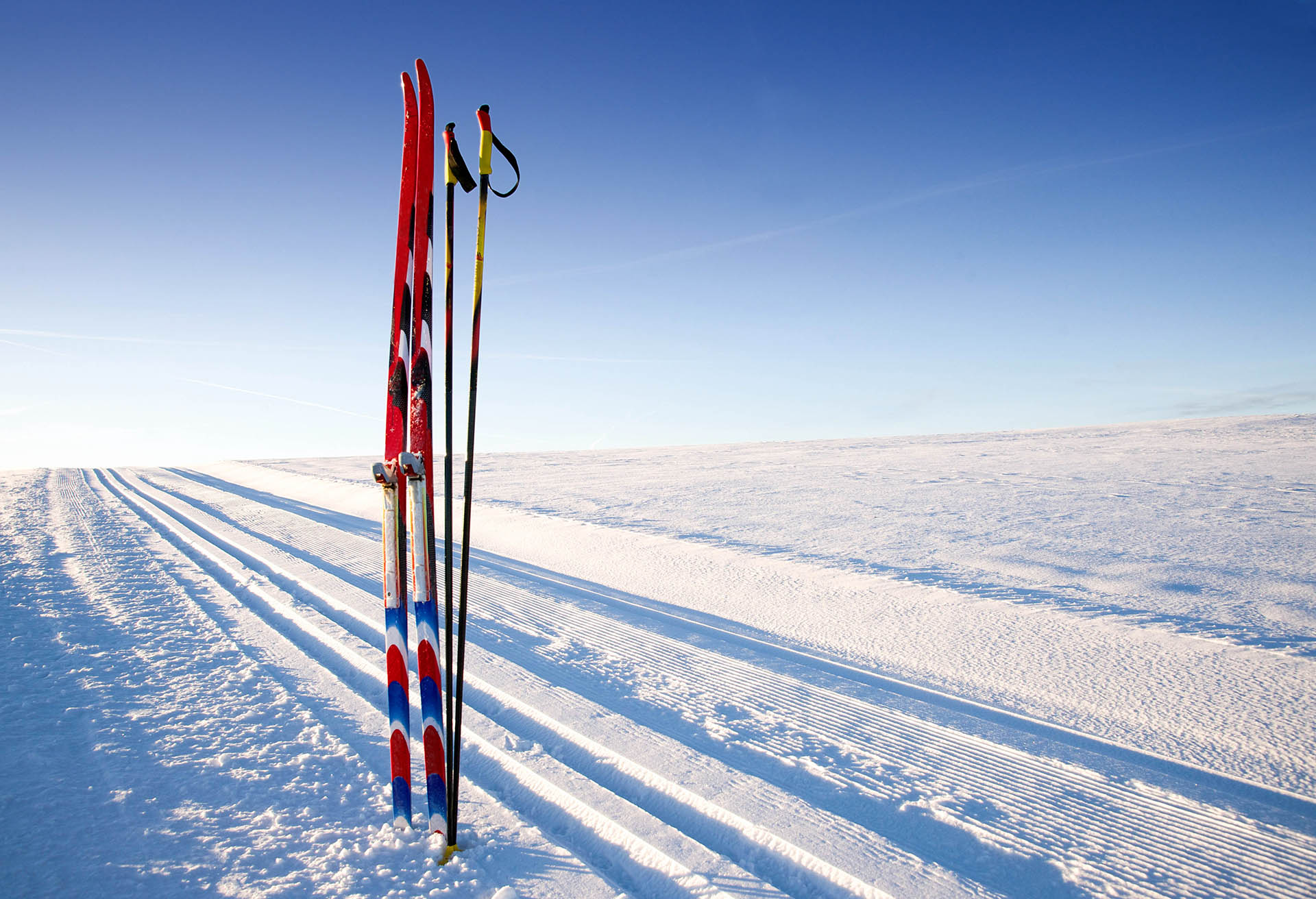 Wildbach-Lodge-Langlaufskier-an-der-Loipe