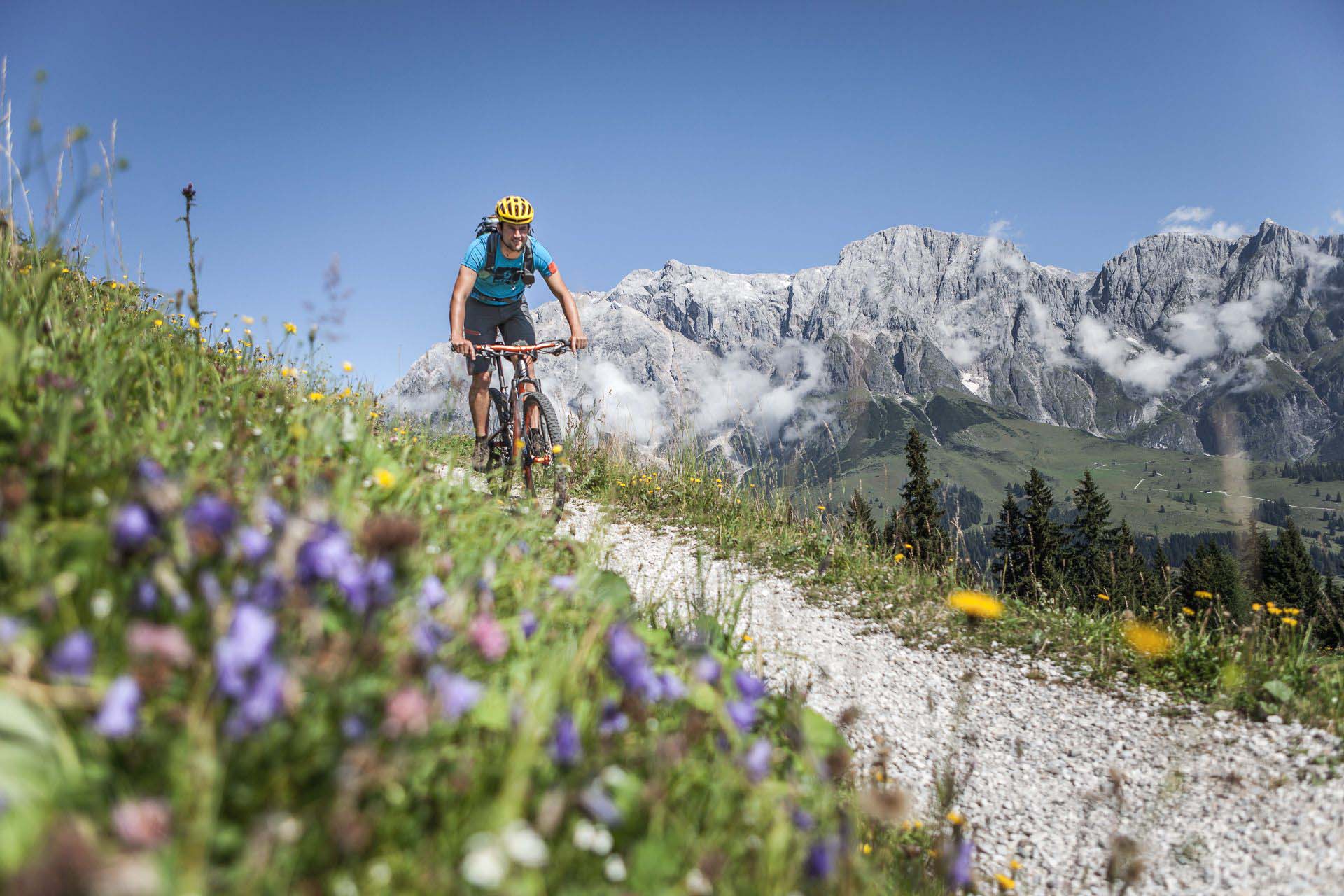 Wildbach Lodge MTB Hochkoenig vor Bergpanorama Hochkoenig Tourismus GmbH