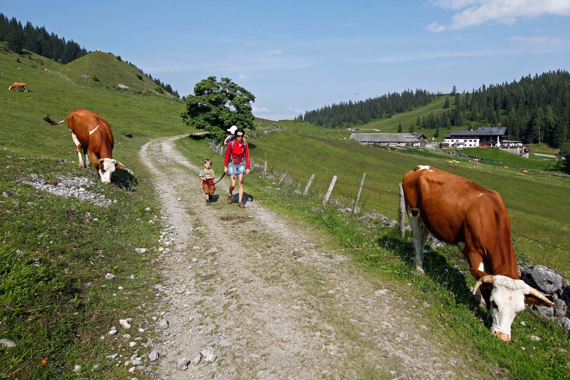 Wildbach-Lodge-Salzburger-Almenweg-Raffalt-Mutter-und-Kinder