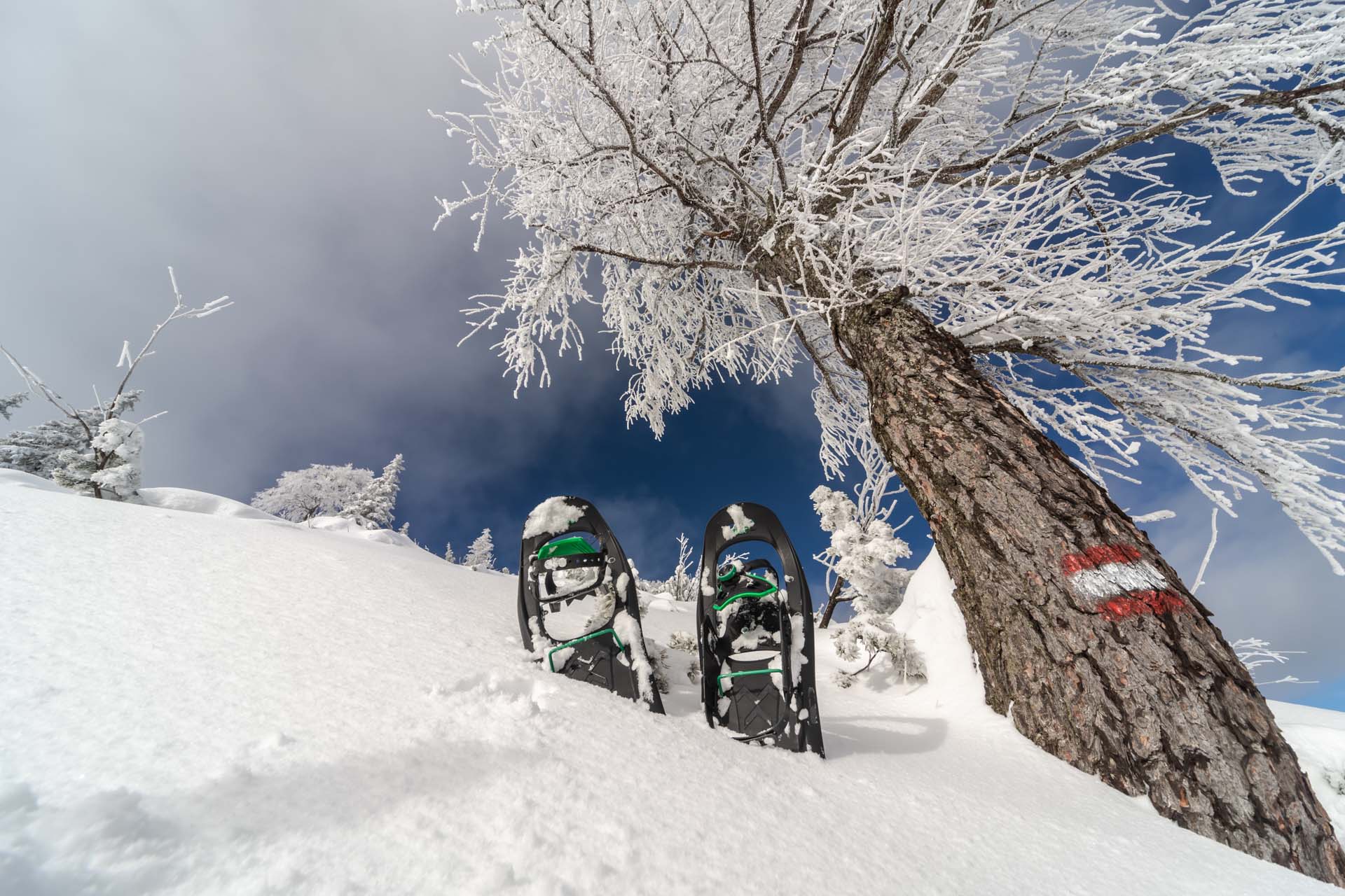 Wildbach Lodge Schneeschuhe Turi AdobeStock 312087943