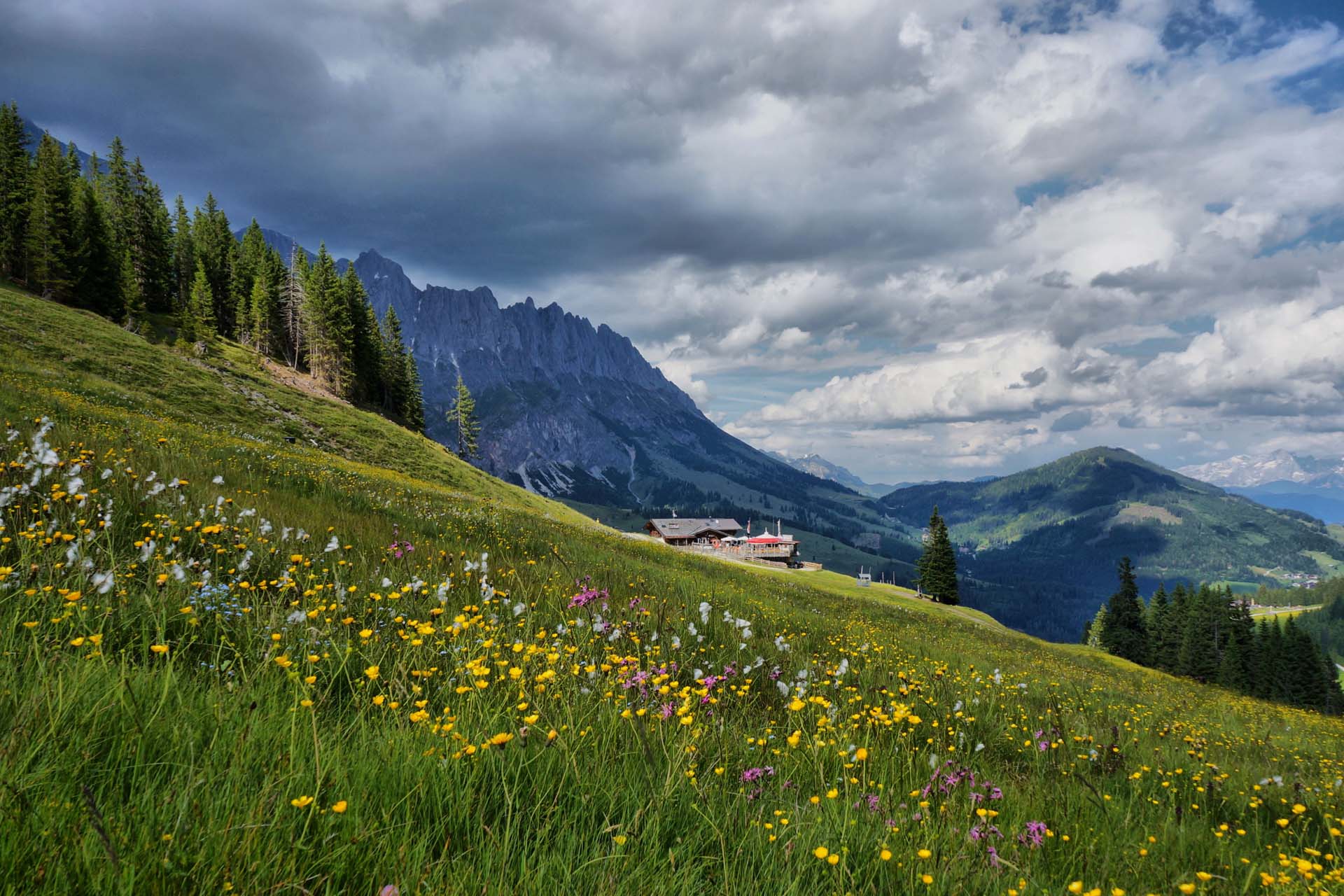 Wildbach Lodge Tiergartenalm Blumenwiese Hochkoenig Tourismus GmbH